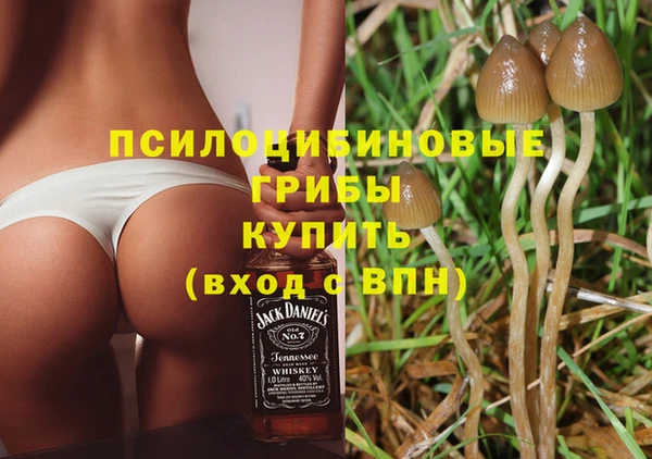 винт Гусиноозёрск